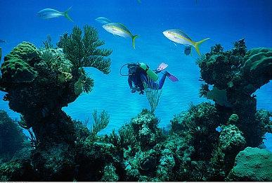 Epic喜加二:《古墓丽影暗影》《淹没:隐藏深处》免费领