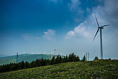 回合制游戏《灵途》即将开测,2022首发创新不容错过!